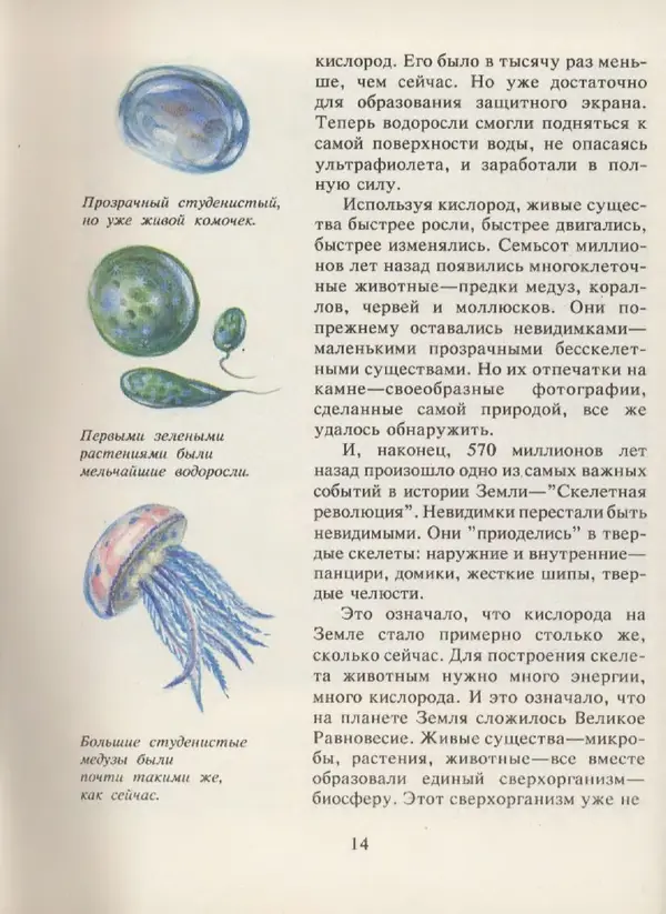 Ирина Яковлева - След динозавра - Страница № 14