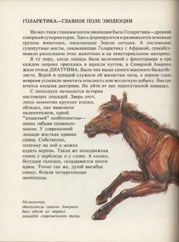 Ирина Яковлева - След динозавра - Страница № 156