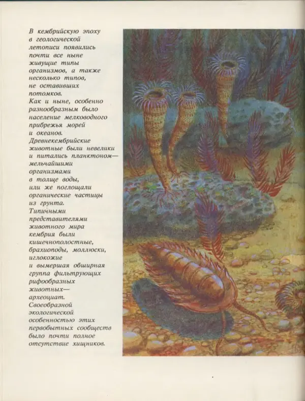 Ирина Яковлева - След динозавра - Страница № 16