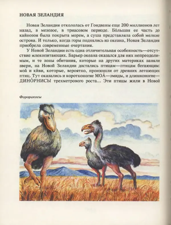 Ирина Яковлева - След динозавра - Страница № 166