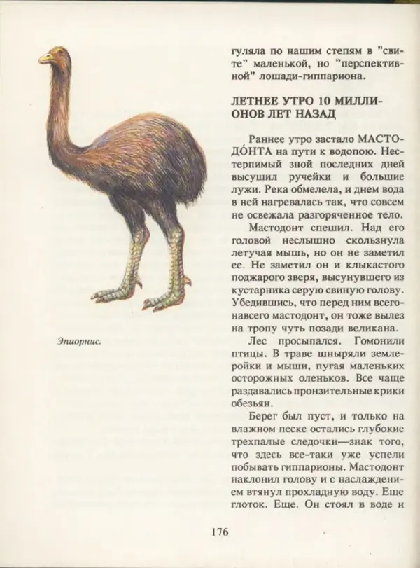 Ирина Яковлева - След динозавра - Страница № 174