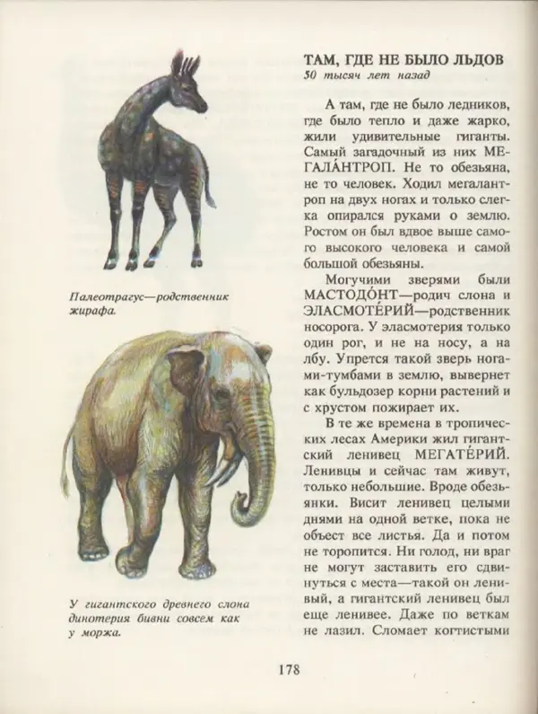 Ирина Яковлева - След динозавра - Страница № 176
