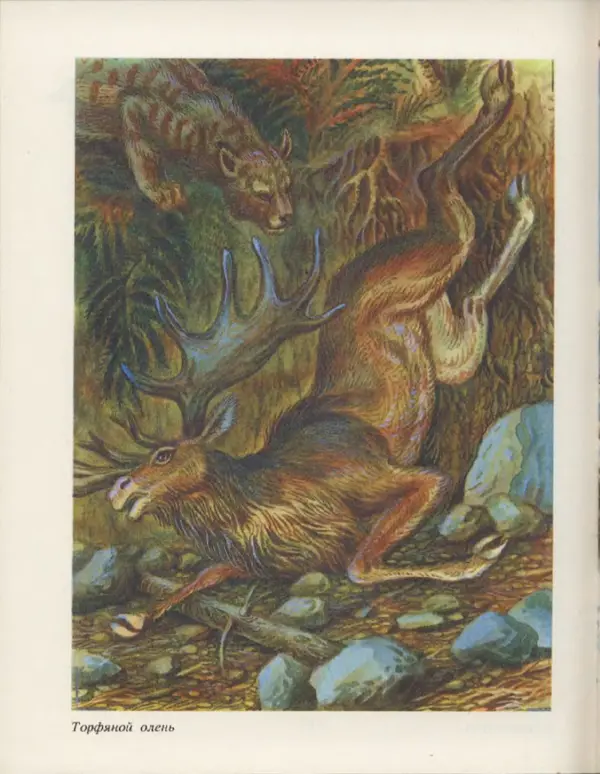 Ирина Яковлева - След динозавра - Страница № 184