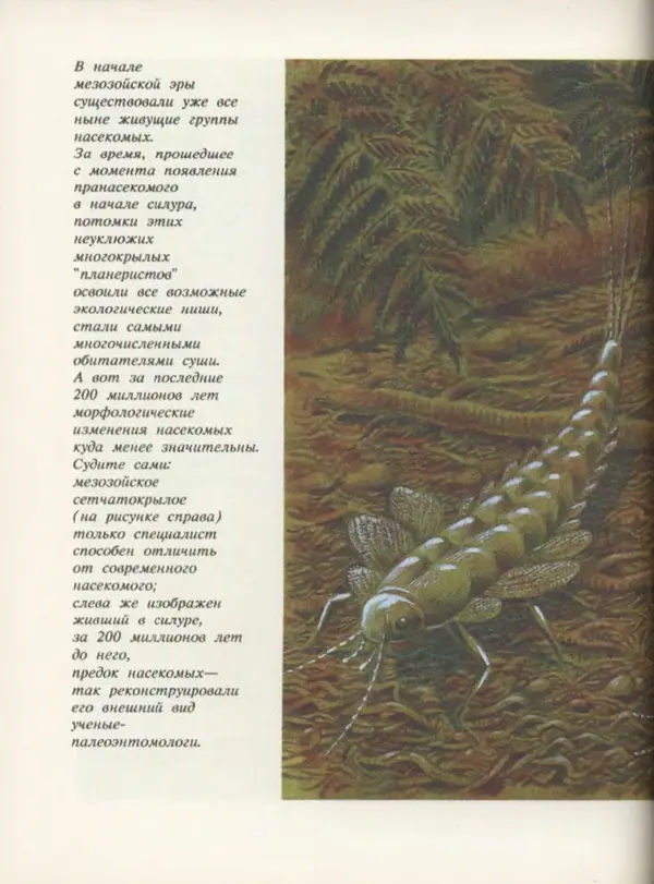 Ирина Яковлева - След динозавра - Страница № 58