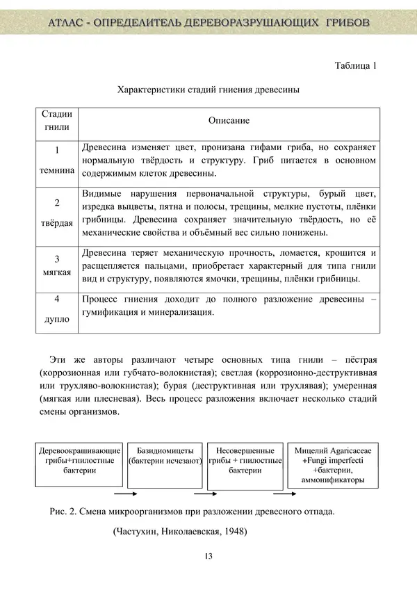  Коллектив авторов - Атлас-определитель дереворазрушающих грибов лесов Русской равнины - Страница № 15