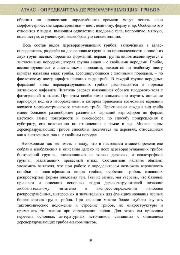  Коллектив авторов - Атлас-определитель дереворазрушающих грибов лесов Русской равнины - Страница № 21