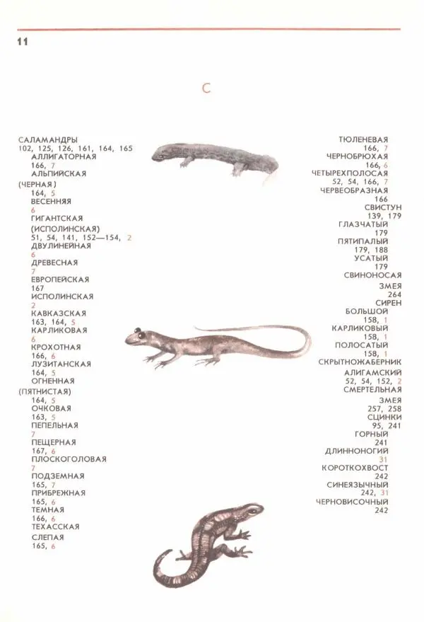 Юрий Дмитриев - Соседи по планете. Земноводные и пресмыкающиеся - Страница № 13