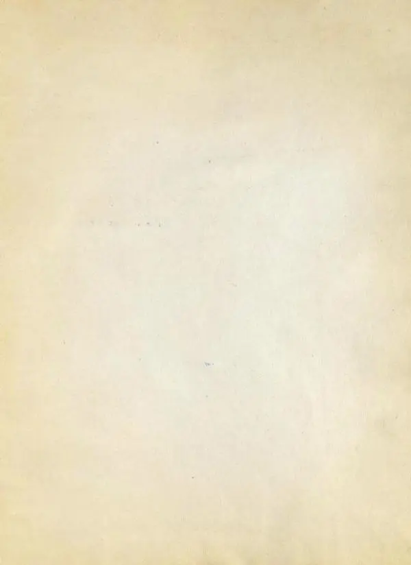 Александр Пушкин - Сказка о Золотом Петушке - Страница № 19