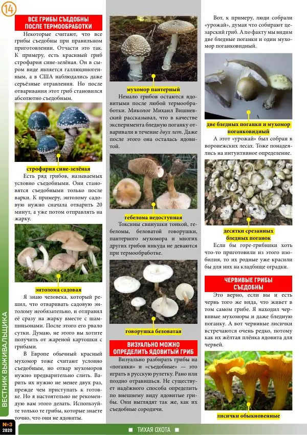 журнал «Вестник выживальщика» - Вестник выживальщика 2020 №03 - Страница № 14