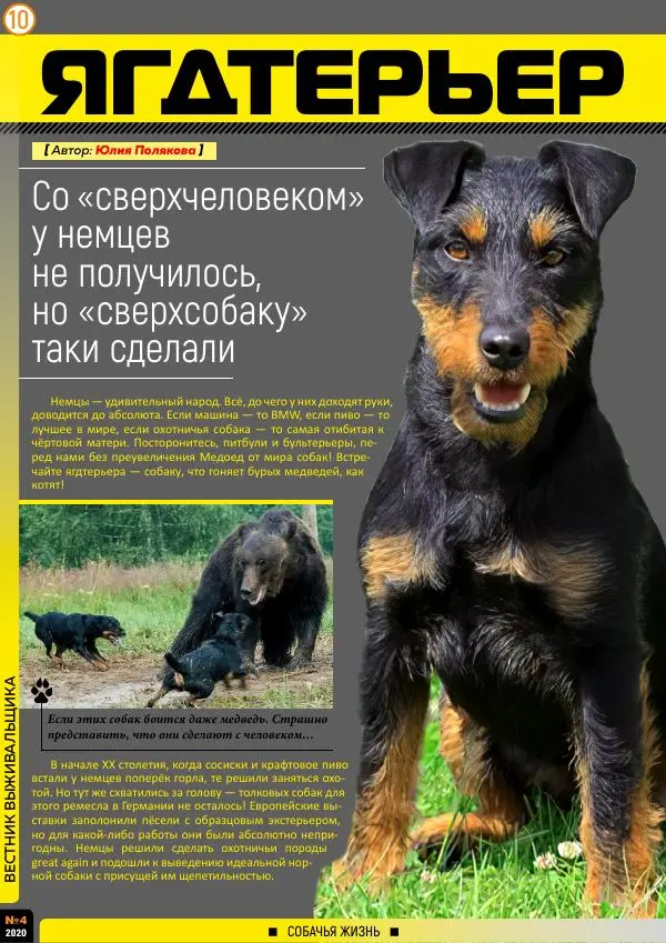 журнал «Вестник выживальщика» - Вестник выживальщика 2020 №04 - Страница № 10 журнал «Вестник выживальщика» - Вестник выживальщика 2020 №04 - Страница № 10