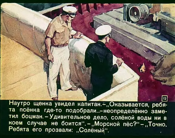 Федор Кнорре - Солёный пёс - Страница № 13