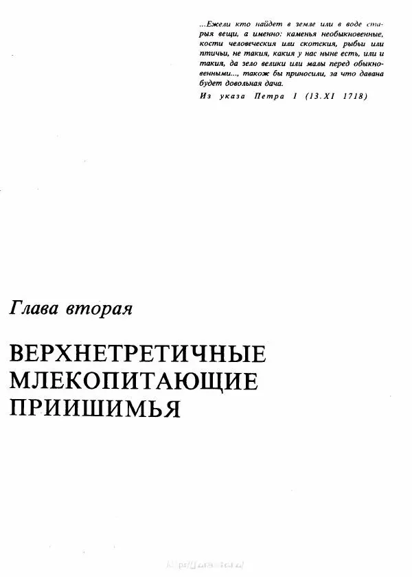 Юрий Орлов - В мире древних животных - Страница № 18