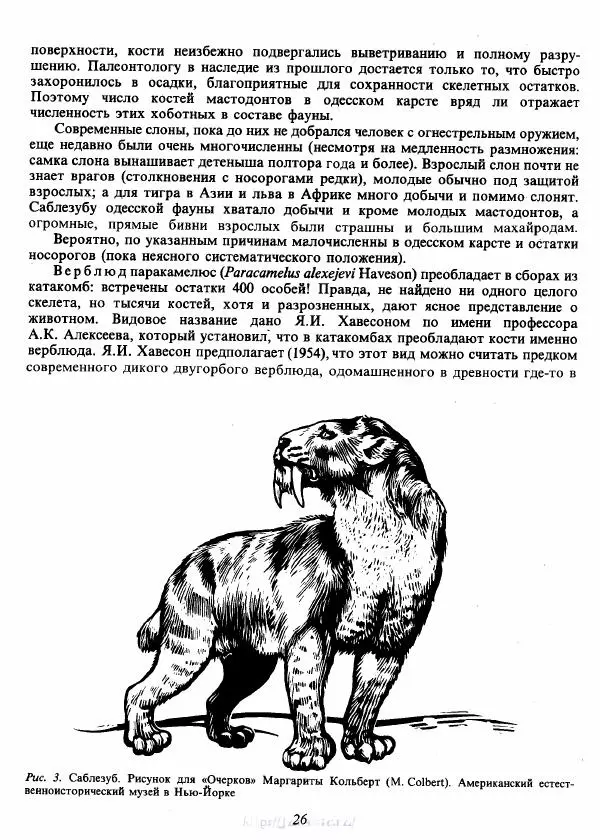 Юрий Орлов - В мире древних животных - Страница № 29