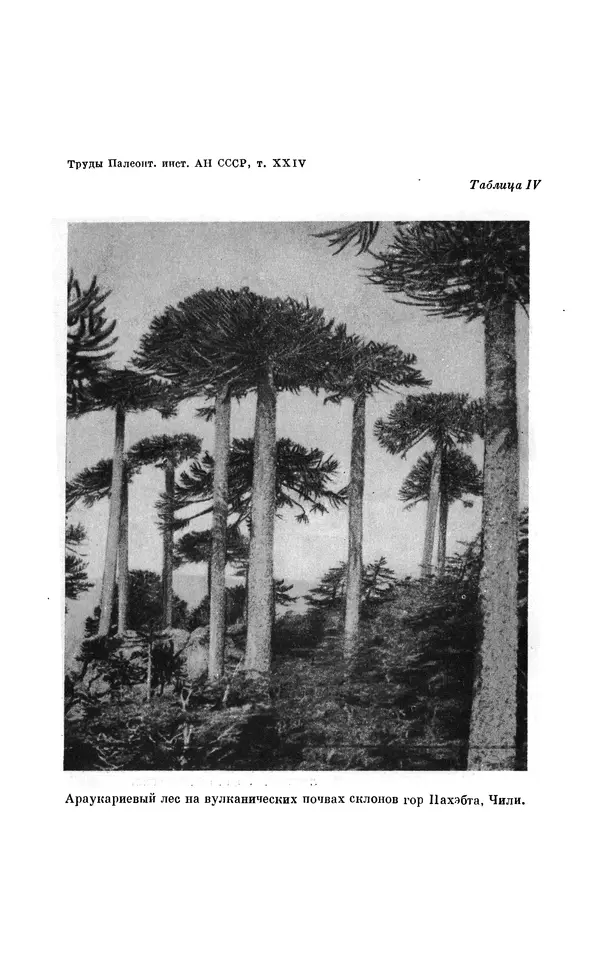 Иван Ефремов - Тафономия и геологическая летопись. Книга 1. Захоронение наземных фаун в палеозое - Страница № 176