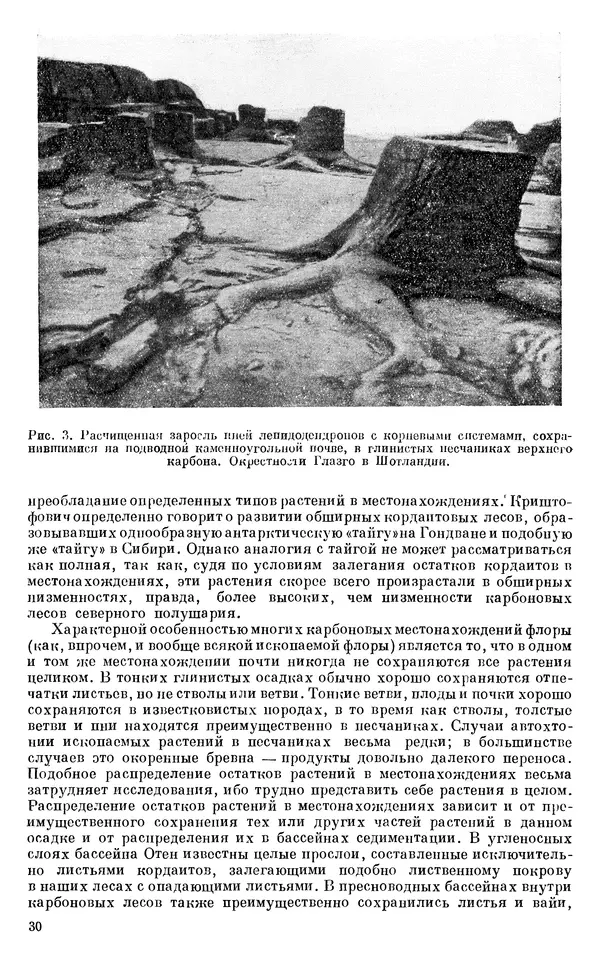 Иван Ефремов - Тафономия и геологическая летопись. Книга 1. Захоронение наземных фаун в палеозое - Страница № 30