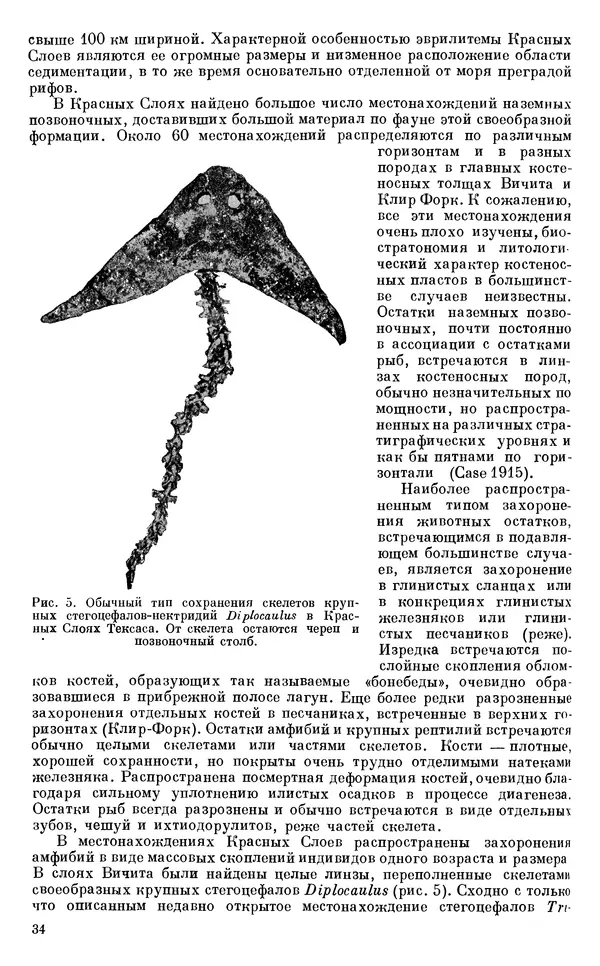 Иван Ефремов - Тафономия и геологическая летопись. Книга 1. Захоронение наземных фаун в палеозое - Страница № 34