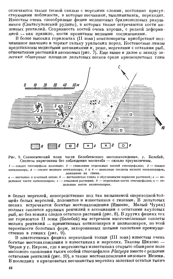 Иван Ефремов - Тафономия и геологическая летопись. Книга 1. Захоронение наземных фаун в палеозое - Страница № 44