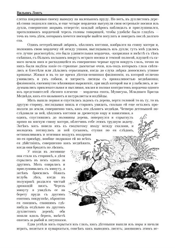 Вильямъ Логъ - Младший братецъ медведя - Страница № 16