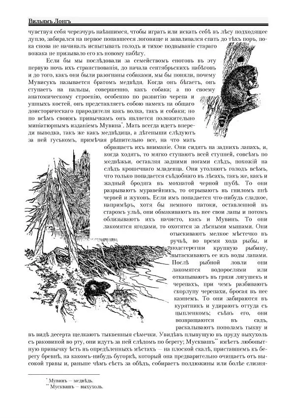 Вильямъ Логъ - Младший братецъ медведя - Страница № 18