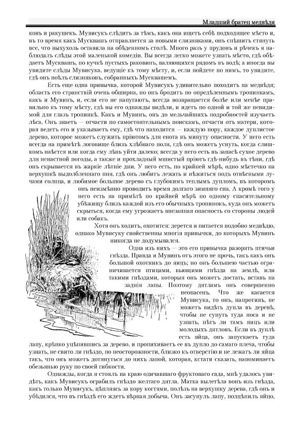 Вильямъ Логъ - Младший братецъ медведя - Страница № 19