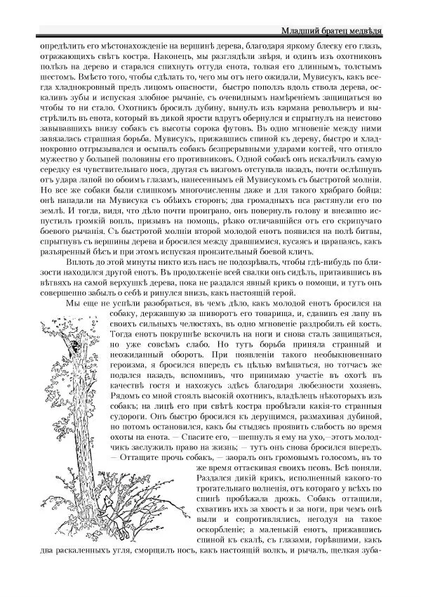 Вильямъ Логъ - Младший братецъ медведя - Страница № 25