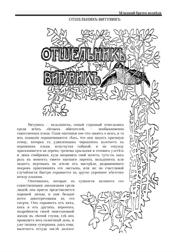 Вильямъ Логъ - Младший братецъ медведя -</p> --