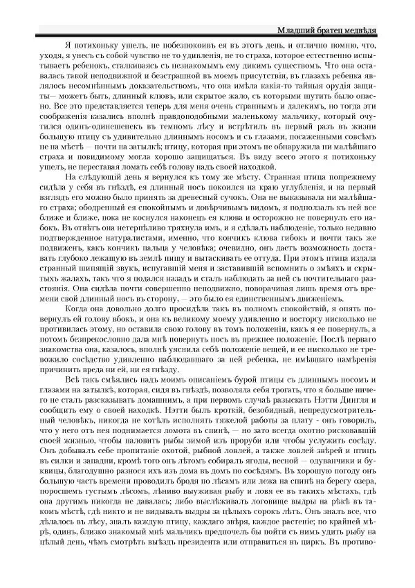 Вильямъ Логъ - Младший братецъ медведя - Страница № 31