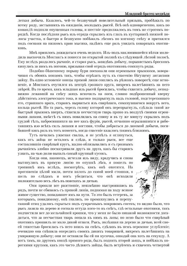 Вильямъ Логъ - Младший братецъ медведя - Страница № 51