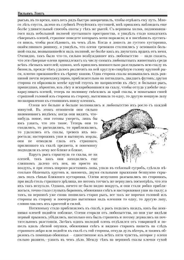 Вильямъ Логъ - Младший братецъ медведя - Страница № 52