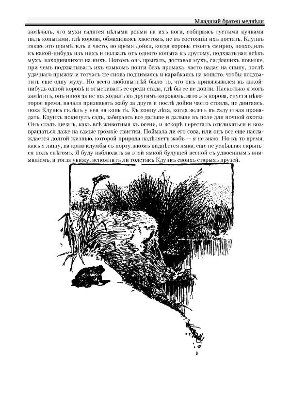 Вильямъ Логъ - Младший братецъ медведя - Страница № 67
