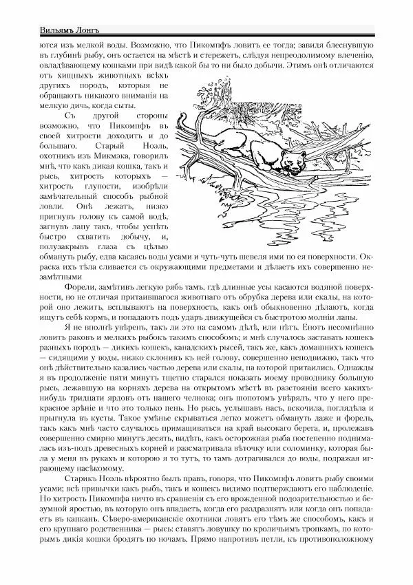 Вильямъ Логъ - Младший братецъ медведя - Страница № 84