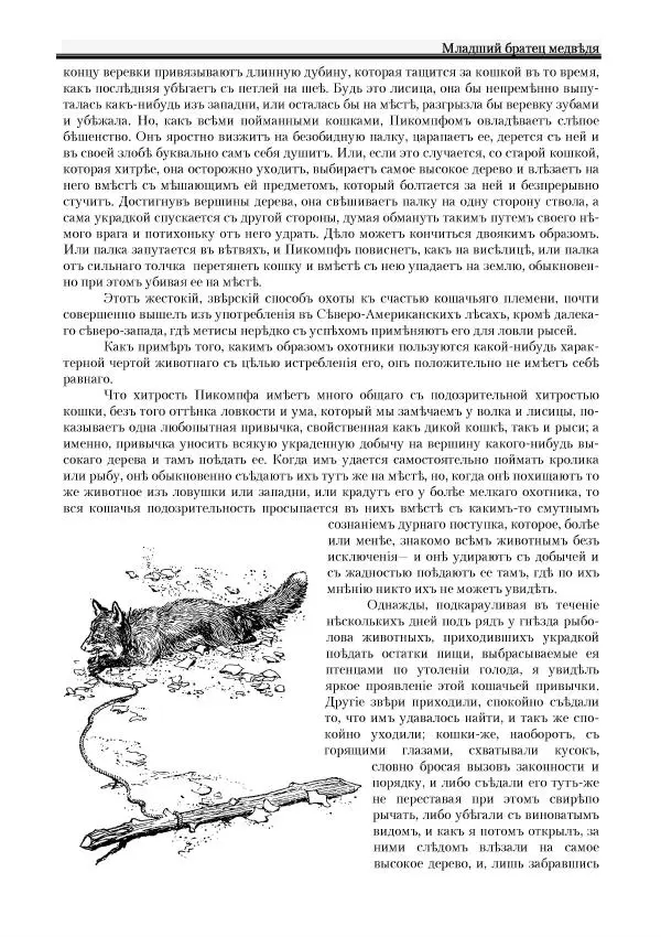 Вильямъ Логъ - Младший братецъ медведя - Страница № 85