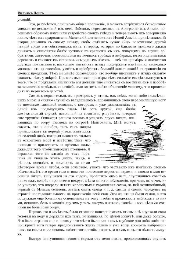 Вильямъ Логъ - Младший братецъ медведя - Страница № 94