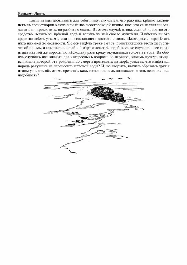 Вильямъ Логъ - Младший братецъ медведя - Страница № 96