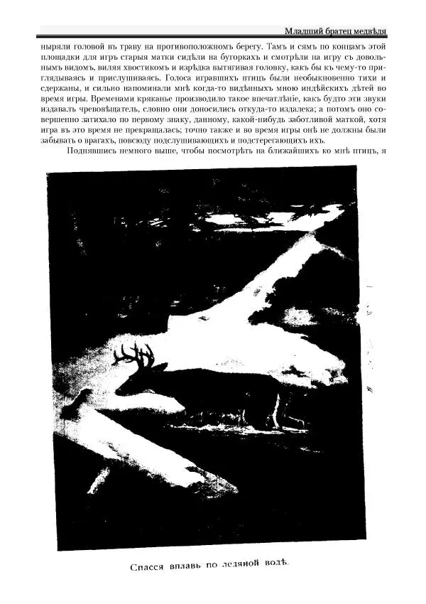 Вильямъ Логъ - Младший братецъ медведя - Страница № 107