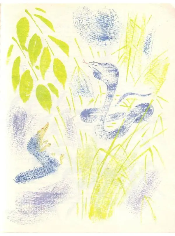 Редьярд Киплинг - Кошка, которая гуляла сама по себе - Страница № 35