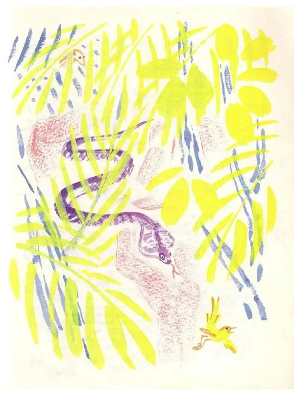 Редьярд Киплинг - Кошка, которая гуляла сама по себе - Страница № 51