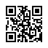 КулЛиб QR: Этюд для уголовного розыска (fb2)