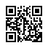 КулЛиб QR: Должник (fb2)
