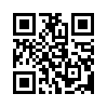 КулЛиб QR: Интервью (fb2)