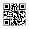 КулЛиб QR: Образец «Ноль» (fb2)
