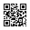 КулЛиб QR: Двойник 2 (fb2)