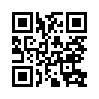 КулЛиб QR: Тайная мишень (fb2)