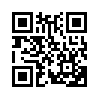 КулЛиб QR: Господин следователь. Смерть на обочине (fb2)