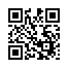 КулЛиб QR: Беглый (fb2)