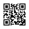 КулЛиб QR: Ревизор: возвращение в СССР 50 (fb2)
