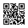 КулЛиб QR: Девушка лет двадцати (fb2)