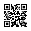 КулЛиб QR: Дневной поиск (fb2)