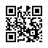 КулЛиб QR: Портрет дамы с жемчугами (fb2)