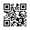 КулЛиб QR: Вся Президентская Рать (fb2)